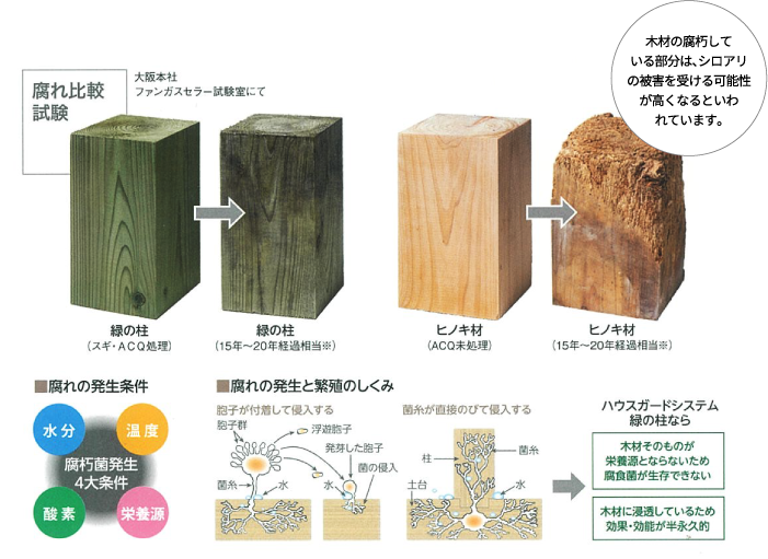 木材の腐朽している部分は、シロアリの被害を受ける可能性が高くなるといわれています。